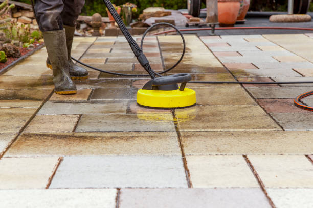 Animal Enclosure Cleaning in Fremont, CA